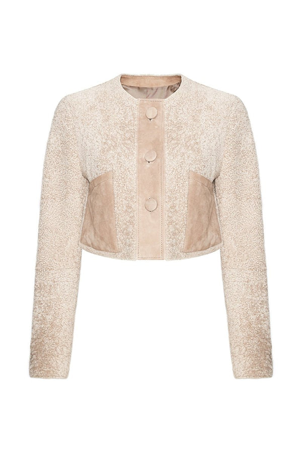 Lily Women's Teddy Curly Shearling Cropped Jacket - Beige - Bigardini