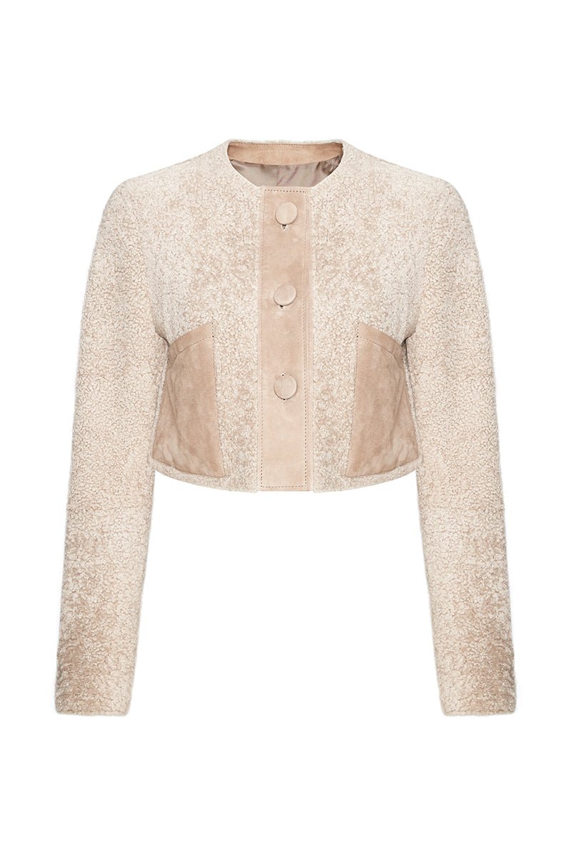 Lily Women's Teddy Curly Shearling Cropped Jacket - Beige - Bigardini